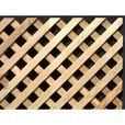 Cedar Diagonal  Privacy Lattice