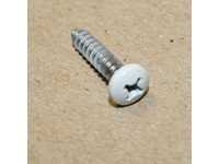 8" x 3/4" SS White Painted Phillips Head Screws