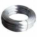 50' Steel Wire 19GA