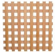 cedar square lattice